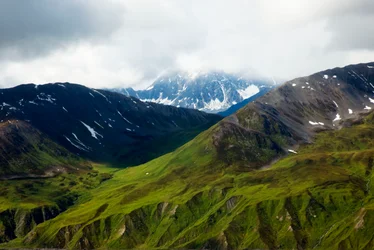 Alaskan tundra, Denali National Park, Alaska